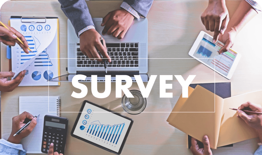 Research Survey Services