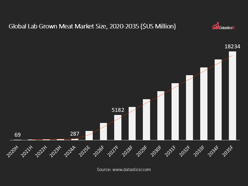 Global Lab Grown Meat Market Size 2020-2035